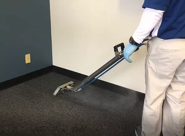 Carpet cleaning results